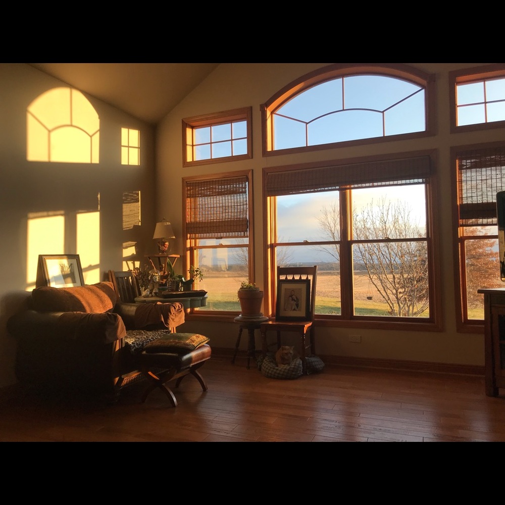 Meet your Posher, Deni